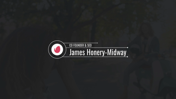 Professional Logo Lower Thirds Set Professional Logo Lower Thirds Set