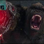 kong-banner