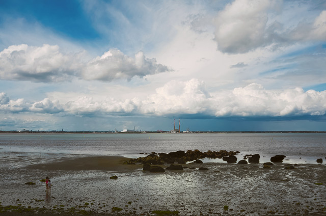 DSCF3751.jpg