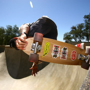 IMG 7954