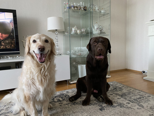 F19-B0-C93-2758-4-D3-C-A330-D88-C76-E208