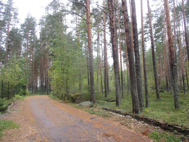 IMG-9783