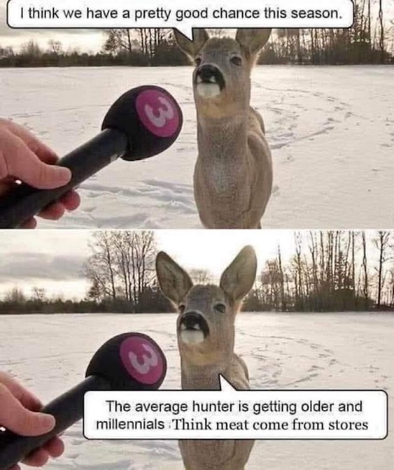 deer1.jpg