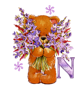 n.gif