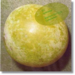 cover-21.jpg