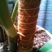 IMG-20231007-081105