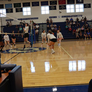 IMG-0354