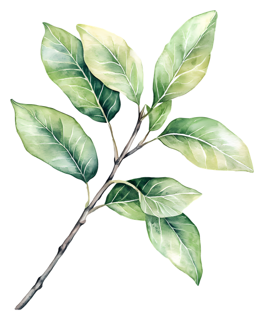 1142d3547260a0608caaad79b48fcbc0.png