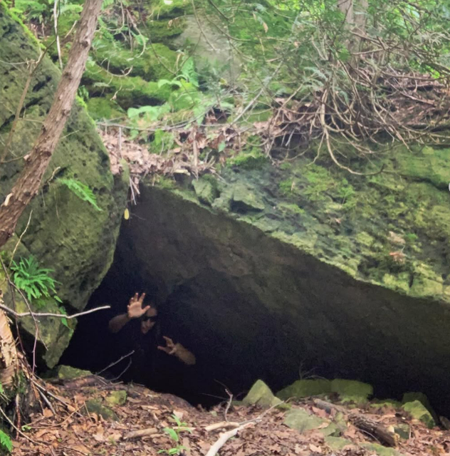 cavecreature