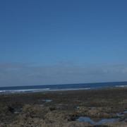 DSCF8471
