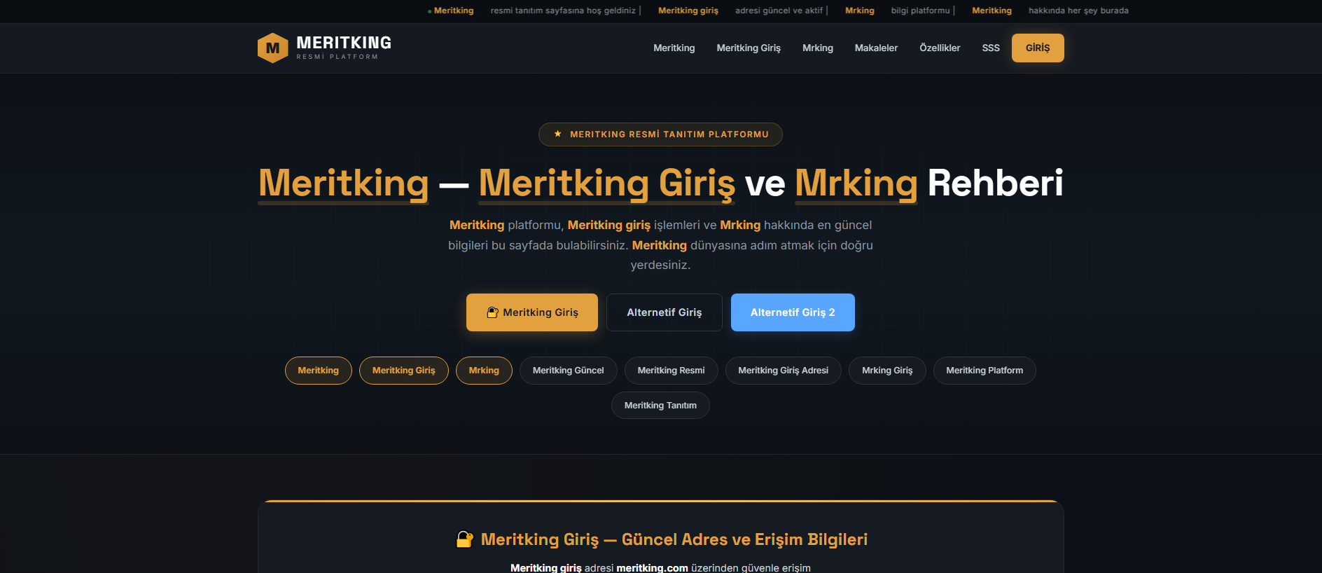 Forensic screenshot of tr.mertking-online22.net showing the phishing page layout