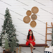 IMG-4561