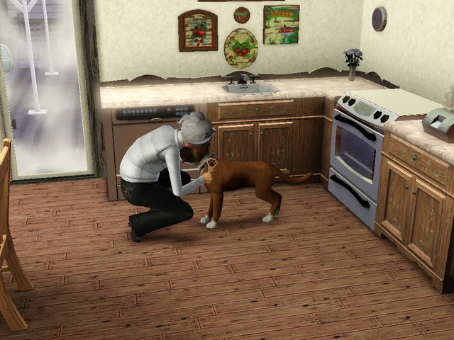 Screenshot-12