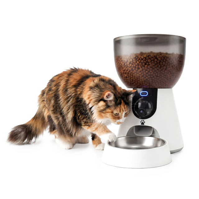 Ki-Feeder Pro