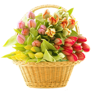 0-c39cd-e2b488fb-L