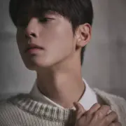 cha eun woo 1301922