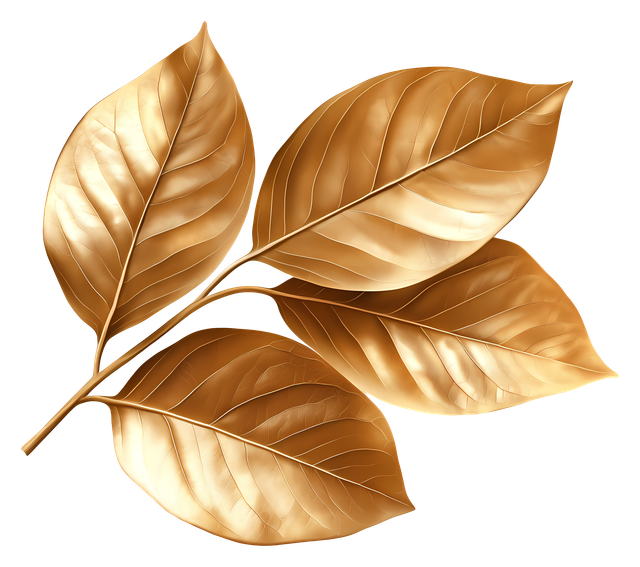 7b88f0a653f2f4e5e09ba50f67462df2.png
