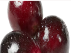 Cranberry Fruit