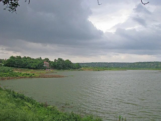 Damdama Lake.webp