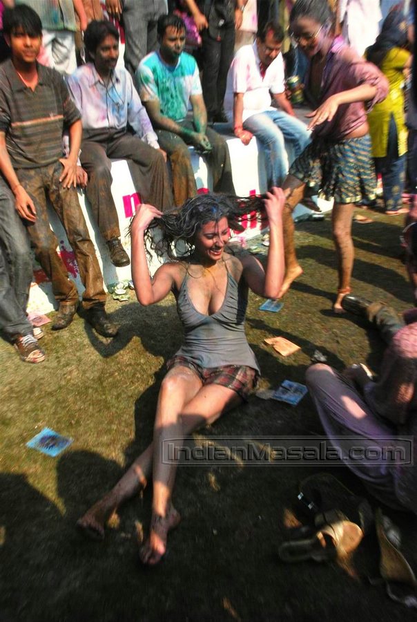 [Image: Hori-Holi11tn.jpg]