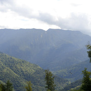 DSC7155