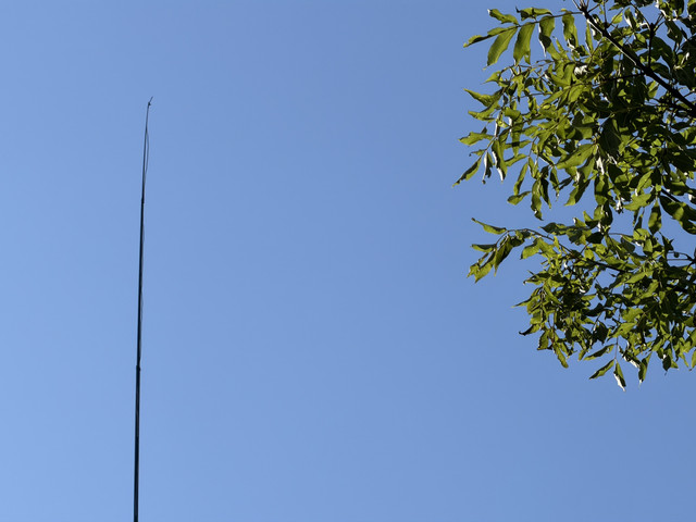 IMG 3461.jpg