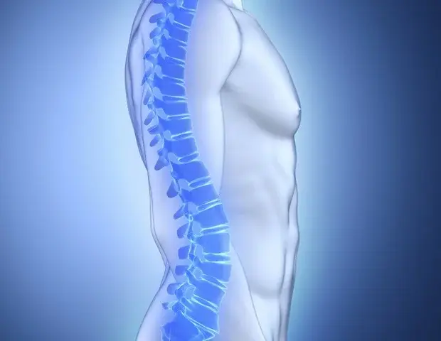 Gut Microbiome Linked to Bone Loss in Parathyroid Disorder