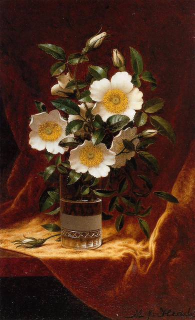 Cherokee-Roses-in-a-Glass