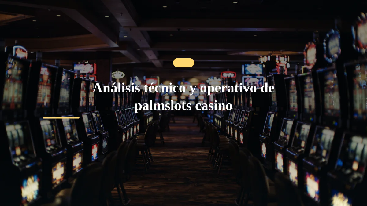 Análisis técnico y operativo de palmslots casino