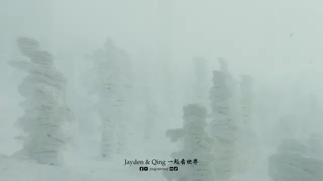藏王树冰8.webp