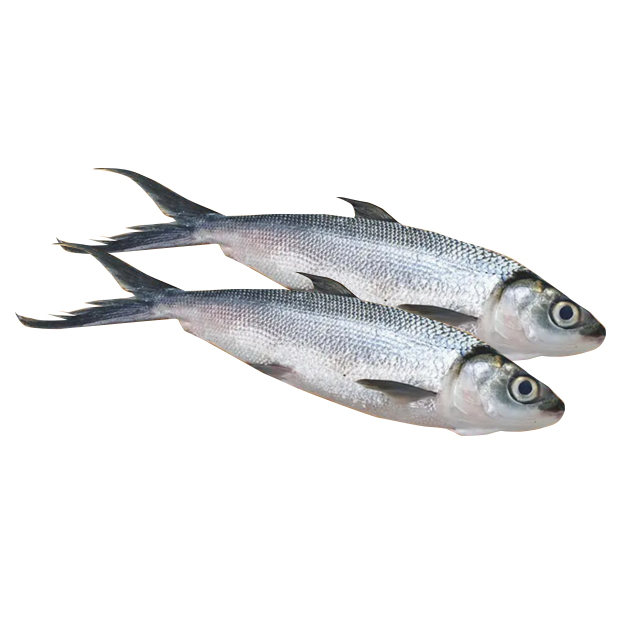 2013510000000.jpg