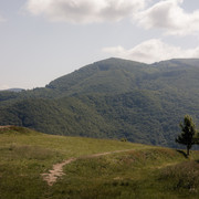 IMG-0149