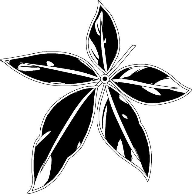 14c7b5d6bcafabe53720cc75a62c19bc.png
