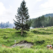 DSC 9146