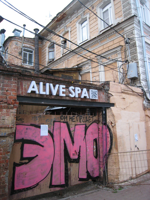 IMG-7965.jpg