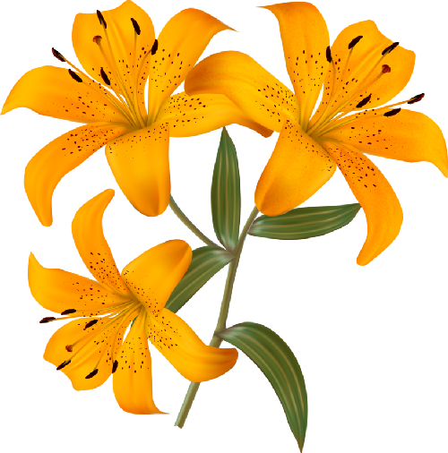 3eab90c1297af8904cb9d875772b7b5f.png