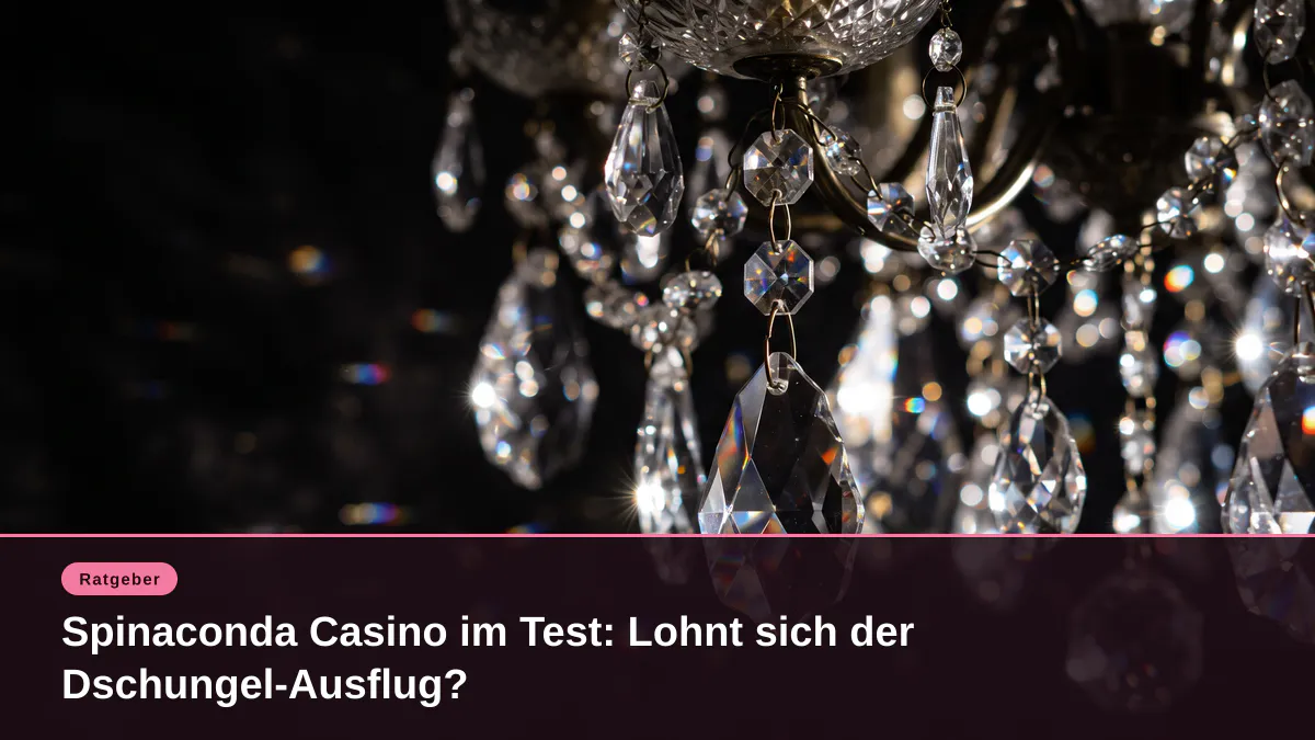Spinaconda Casino im Test: Lohnt sich der Dschungel-Ausflug?