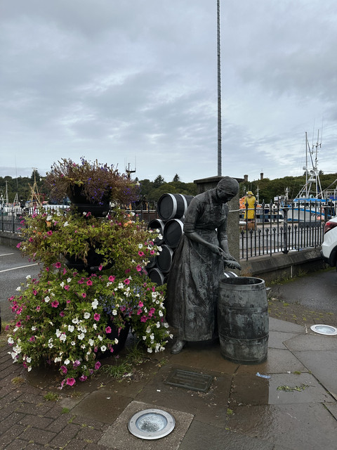 IMG-6338