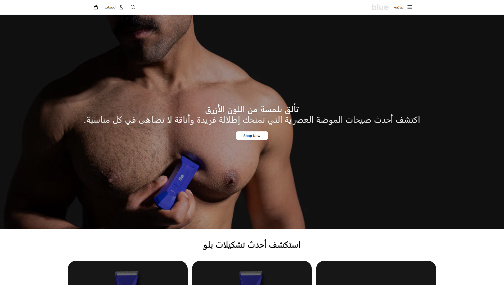 Stored capture of bluebrandwear.shop