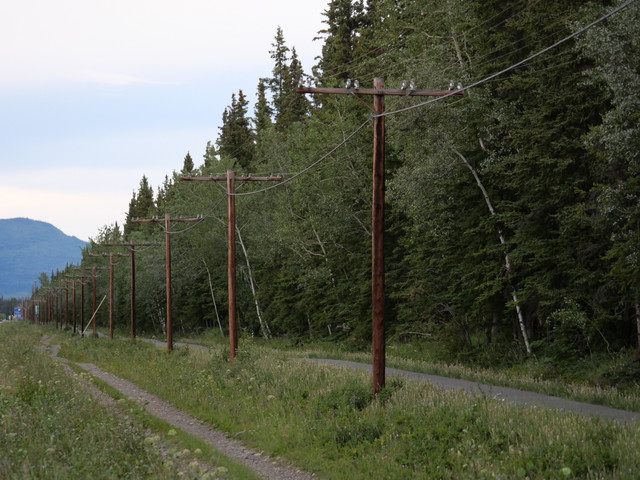 P1132725.jpg