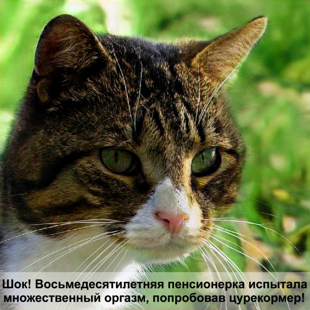 Загружено: Валентина Мясникова. Россия Киров