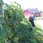 IMG 3448