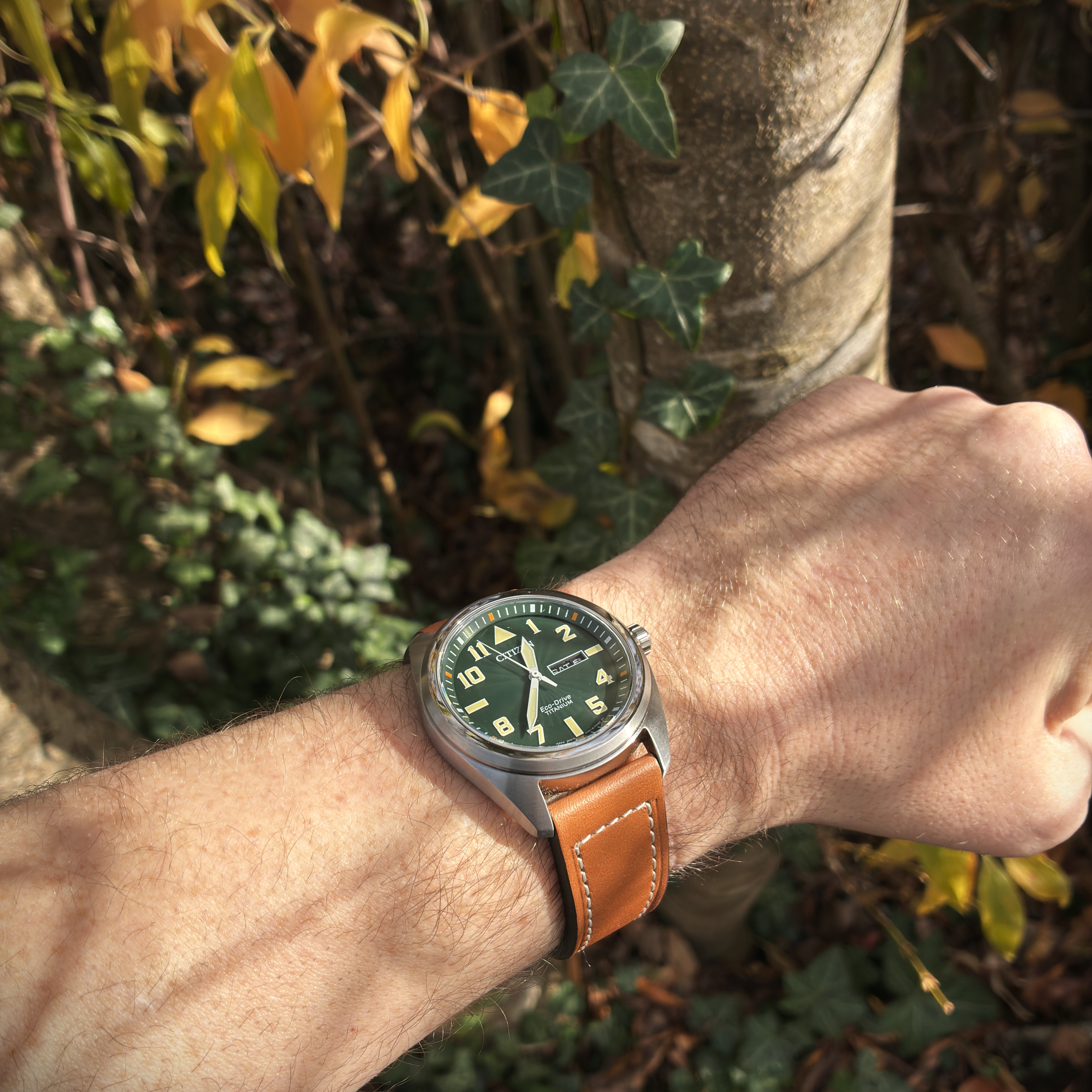 Plein phare sur l’Eco-Drive - Page 23 IMG-1597bb