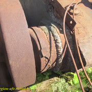 IMG-1371