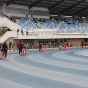 IMG-0445