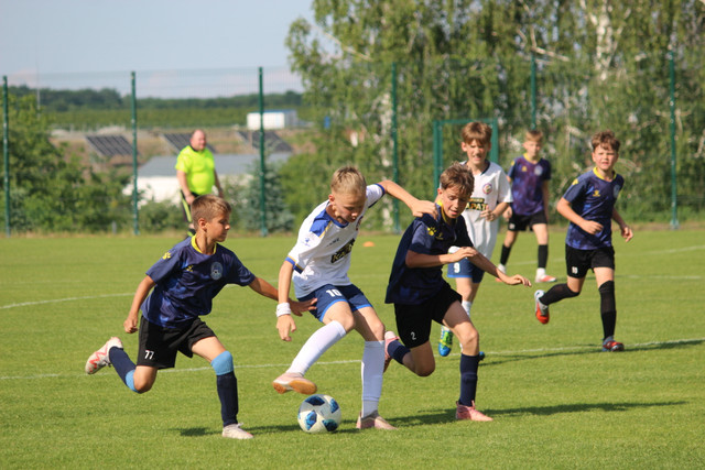 IMG-2782