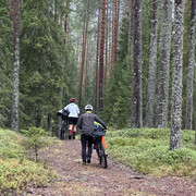 IMG 4492