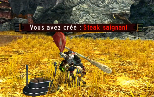 meat on stick
