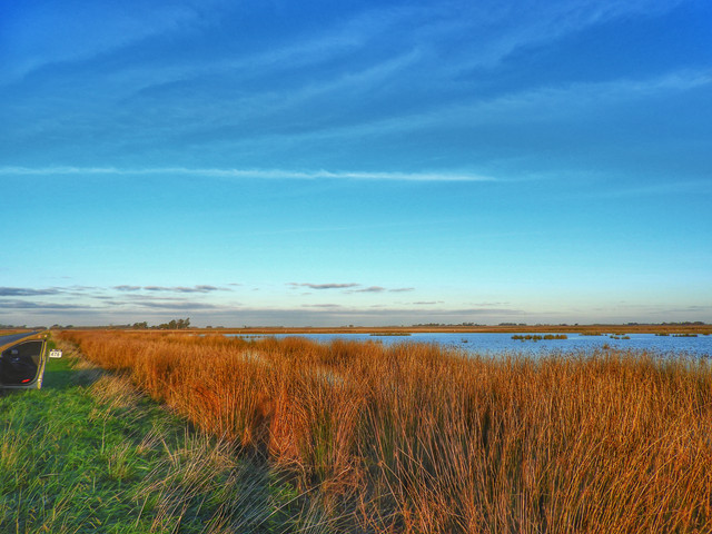 DSCN4831.jpg