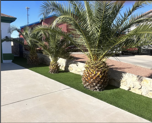 doggy daycare kennel veterinary artificial turf installation fort worth DFW commercial pet facility